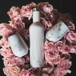 Simple Modern Spirit Wine Bundle 